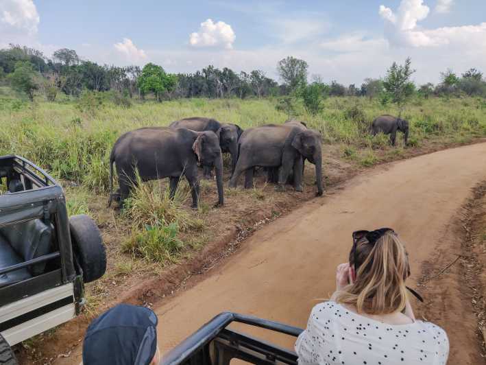 Safari Gallery Image