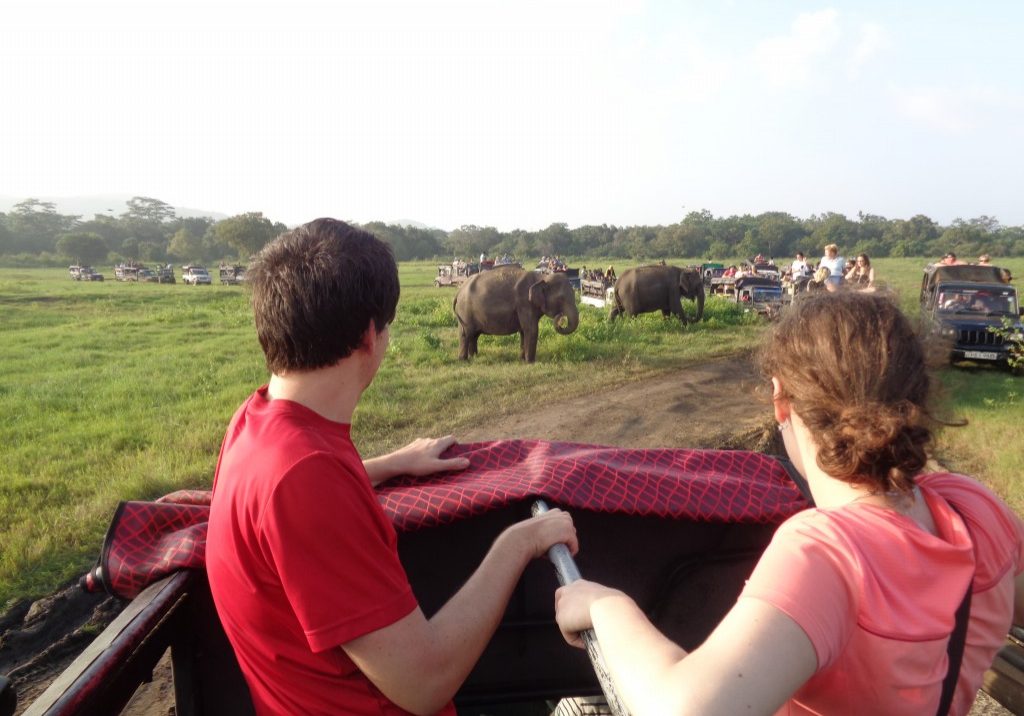Minneriya-National-Park-Safari-20-landscape