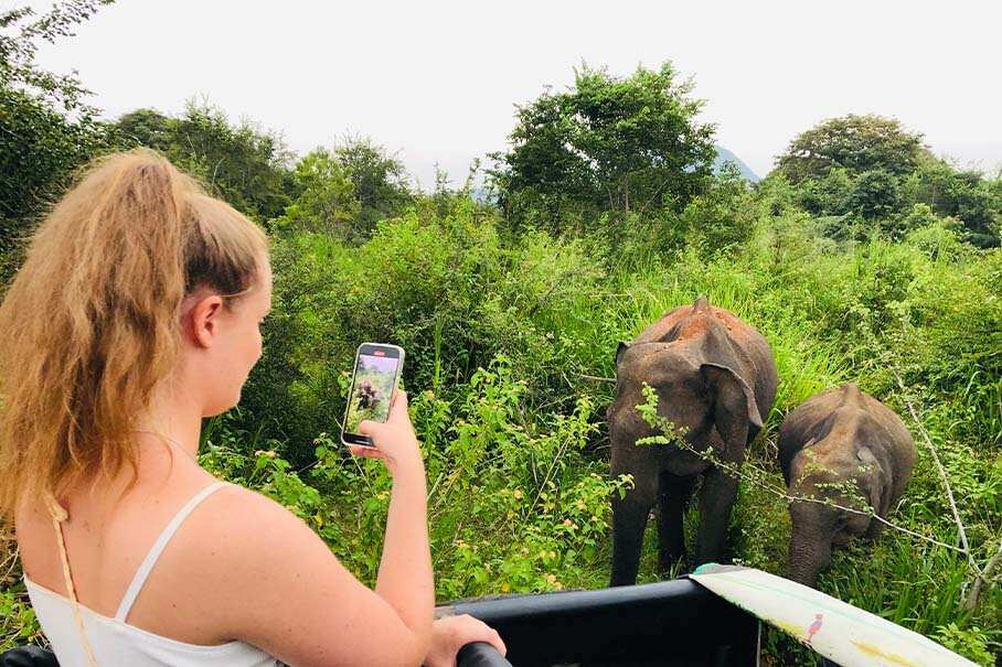 Hurulu Eco Park Morning Safari